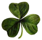 realistic shamrock