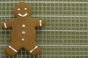 30877724 gingerbread boy